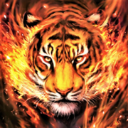 Tiger_98