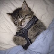 LittleMemo