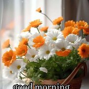 Manishanisha0347@gmail.com