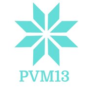 Pvm2163