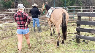 Southernbullhot - save a horse  ride the cowboy