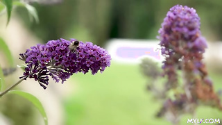 Redneck mom fucks - Rosa Josefin (23.10.2025) rq