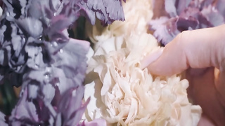 Candee Licious - Flower Bud XXX