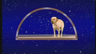 Ataque anal repentino (pelicula completa)