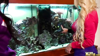 Oh Good Ping Pong Loving Molly Cavalli & Venice