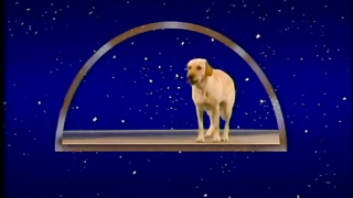 Schlampen Suchen Feste Schwanze