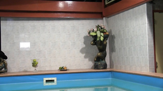 Dutch MILF Romy loves Anal and Facial