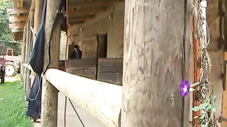 THE KNIGHTS OF SEX - FULL MOVIE