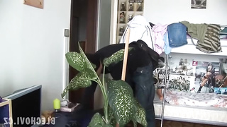 This Lady Is A Heavy Sleeper (480)