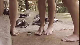 The refuge in the forest (480)