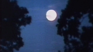 Dysfunctional Family 3 (USA 1985, Taija Rae, Gloria Leonard) (720)