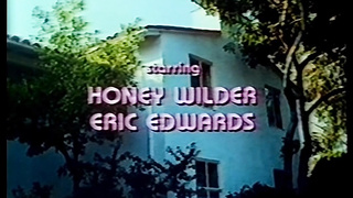 Family Affairs (USA 1983, Honey Wilder, Carol Cummings) (720)