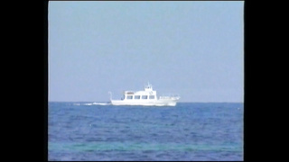 Caliente Y Dulce - Pelicula Completa En Castellano (720)