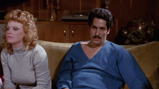 WHEN PORN WAS GREAT 23 (1080)