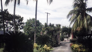 Souillures Extremes (1994) (1080)