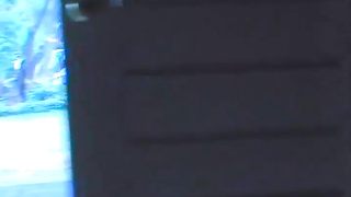 Phatty Girls #7 Roxy Reynolds