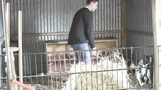 Suzana -FULL 12 TR (720)