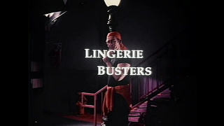 The Full Package (USA 1992, Teri Weigel, Alicyn Sterling) (720)