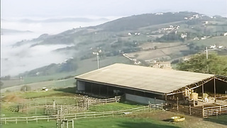 Adventures Of The Scarecrow (Italy, French Dub, Eva Falk, Stacy Silver) (720)