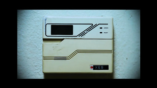 Angel Youngs - Alert Break In With Alex Jones rq