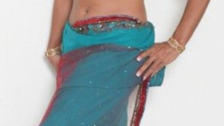 Persia monir in Saree