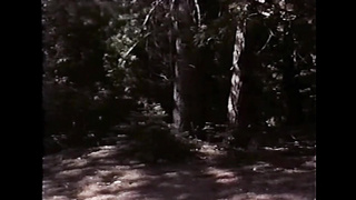 Caught In A Time Warp (USA 1985, Bunny Bleu, Kari Foxx) (720)