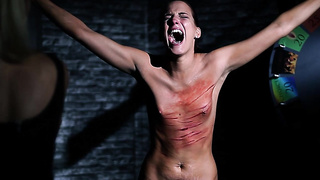 Not Real - ELITE PAIN - WHEEL OF PAIN 23 (720)