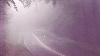 Family Desires (USA 1983, Honey Wilder, Sharon Kane) (720) 2 video