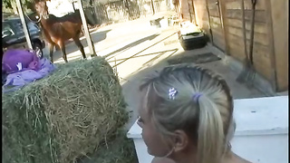 HornyCoach - Bree Olsen request ai enhance (480)