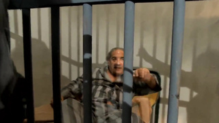 David Sex King (720)