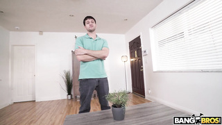 The Full Fucking Service