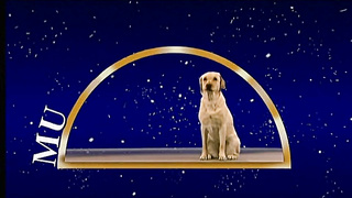 The Merry Widow (Italy 1995, German Dub, Monica Orsini, Simona Valli) (720)