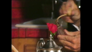 Sins Of The Rich And Horny (USA 1989, Rachel Ryan, Nina (720) 2 video