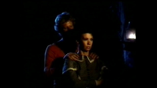 Civil War Fuckers (USA 1981, German Dub, Georgina Spelvin, Rhonda Jo Petty) (720) 2 video