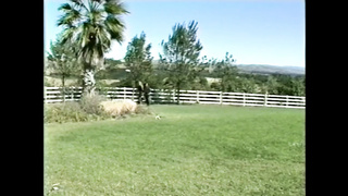 Love Or Prison (USA 1991, Danielle Rogers, Avalon) (720) 2 video