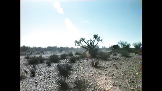 Sweet Savage (1978) (720) 2 video