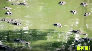 Porn - Pixie Smalls (14.01.2026) rq