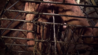 Horror Porn 55: Lord Peckerclaw