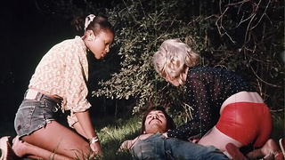 Female Chauvanists (480)