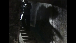 My Wonderful Lady (Italy 1995, German Dub, Joy Karins, Sonia Russo) (720)