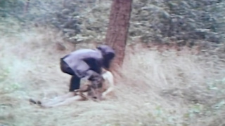 Wildlife Encounters (8x 1970s German And Danish Loops) (480)