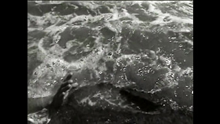 Fantasy Whore  (USA, Bridgette Kerkove, Kristy Myst) (480)