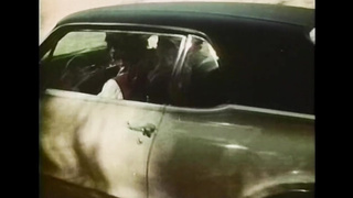 Nature In Action (USA 1972, Suzanne Fields, Nora Wieternik) (720)