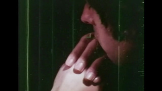 The Promiscuous Girl (USA 1972, Roberta Findlay) (720) 2 video