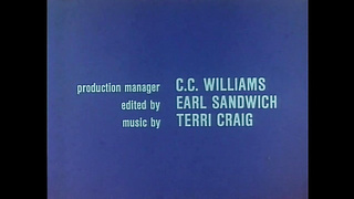 Wedding Night Troubles (USA 1977, Erica Havens, Marlene Willoughby) (720) 2 video