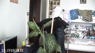 This Lady Is A Heavy Sleeper (480) 2 video