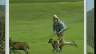 Heidi - Teil 1 - Auf der Heidi gibts koa Sund (480)