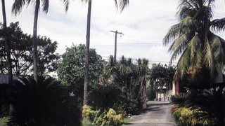 Souillures Extremes (1994) (1440)