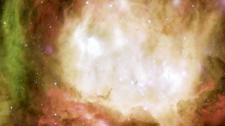 Bikini Girls from the Lost Planet (2006) 2 video