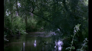 Parties Carres Campagnardes AKA Country Orgies (France 1980) Serena (English Dub) (1080)